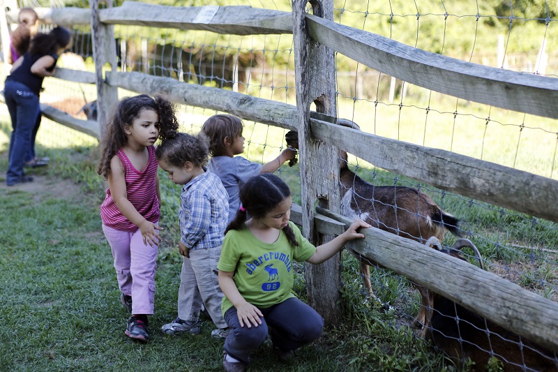 Trust For Public Land